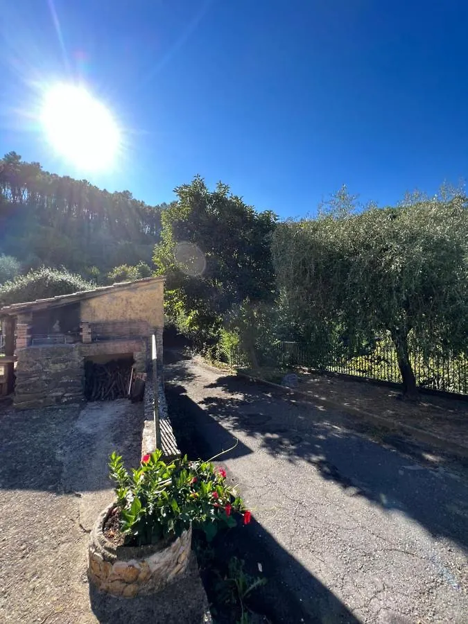 Holiday home Podere Santino Lucca